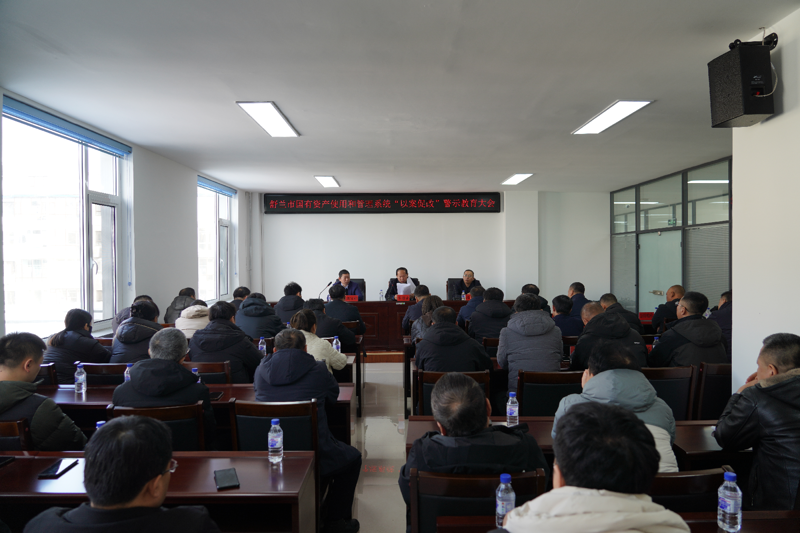 投资担保行业新动态:舒兰模式引领未来
